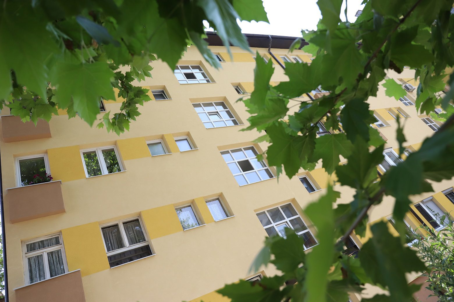 Naslovna slika